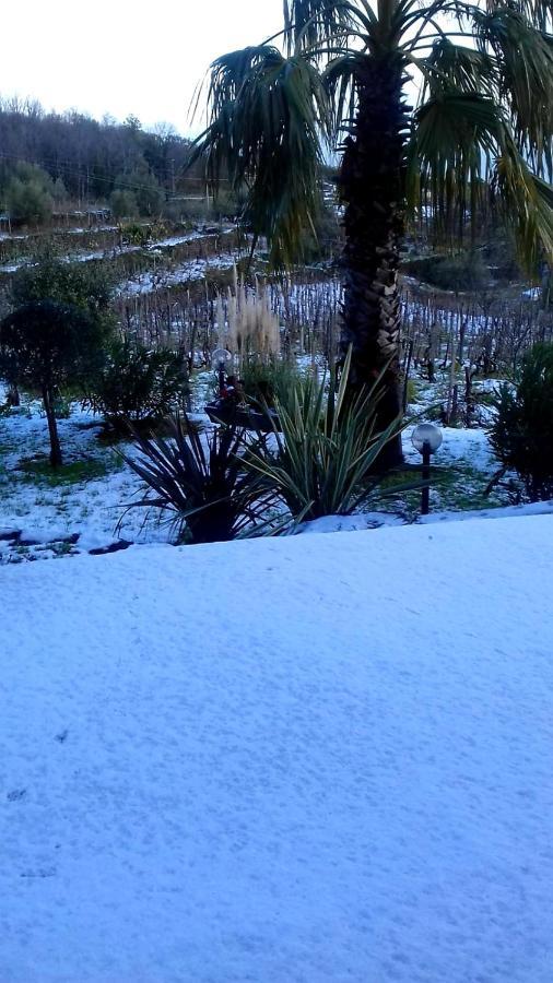 Villa Etna Masi' Milo Exteriér fotografie